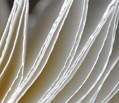 Paper towels – the most hygienic hand
